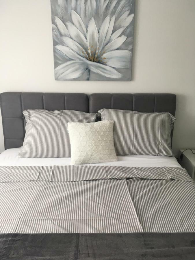 Luxury Apartments Vucinic ピロヴァッツ エクステリア 写真